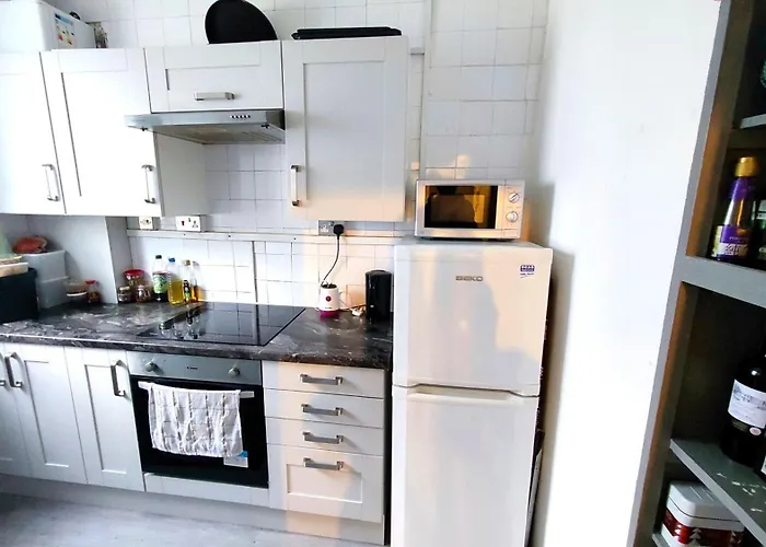 Spacious Flat With 2 To 3 Bedrooms In Central London